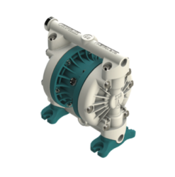 Membrudæla, Argal DDE 060