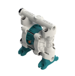 Membrudæla, Argal DDE 020