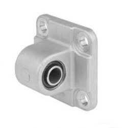 Tjakkbotnar með auga MP9