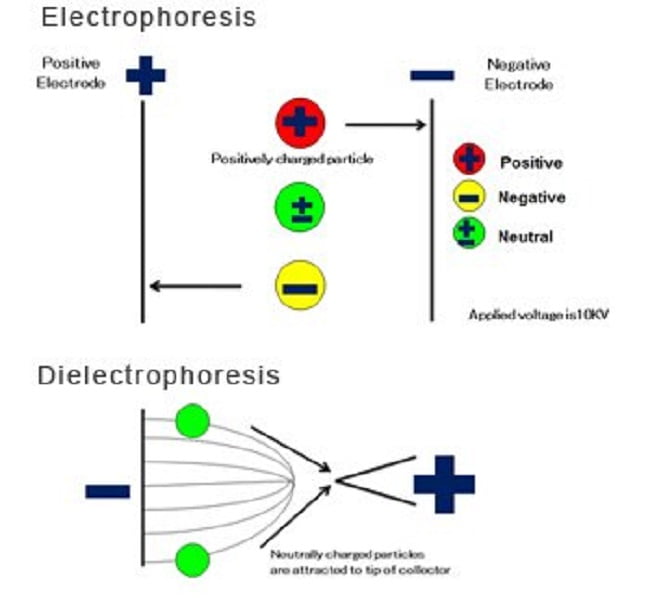 electrophoresis350-1.jpg
