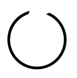 Hringsplitti, innan, án auga