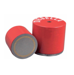 Seglar, sívalir - Disella